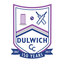 Dulwich CC Under 17